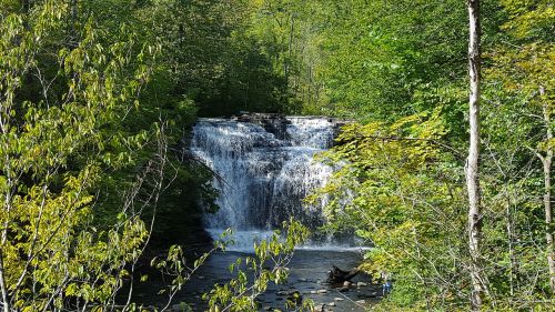 pixley falls waterfall creek