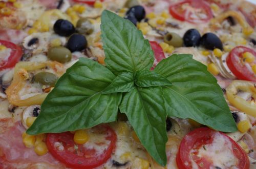 pizza olives meal