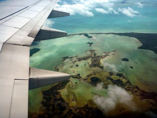 plane coral reef