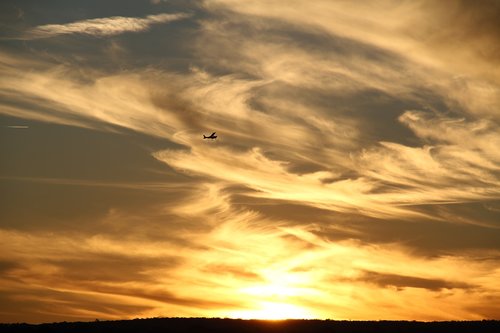 plane  sunset  airplane