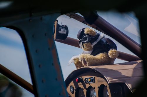 plane bear aviation