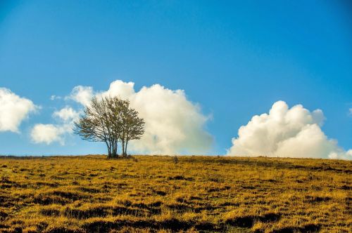 plant mountain mountain landscape