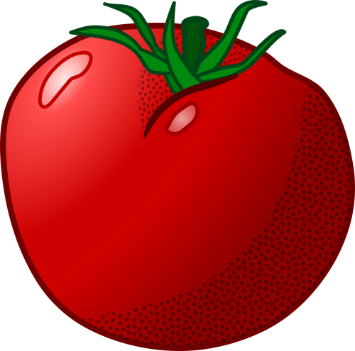 plant tomato vegetable