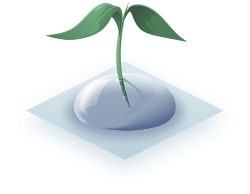 plant drop aquatic plant
