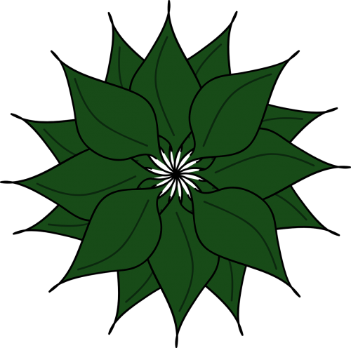 plant leaves flower
