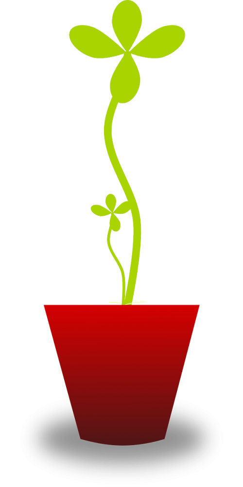 plant pot tender