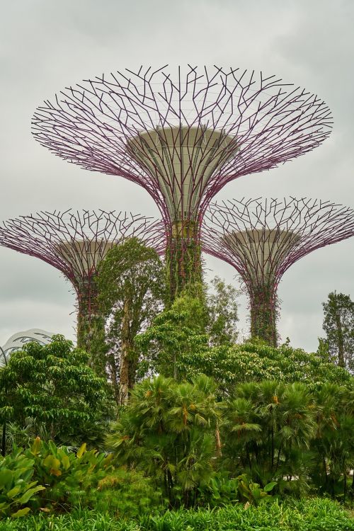 plant singapore park