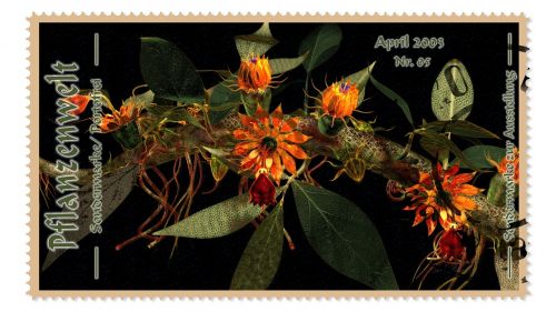 plant flowers stamp