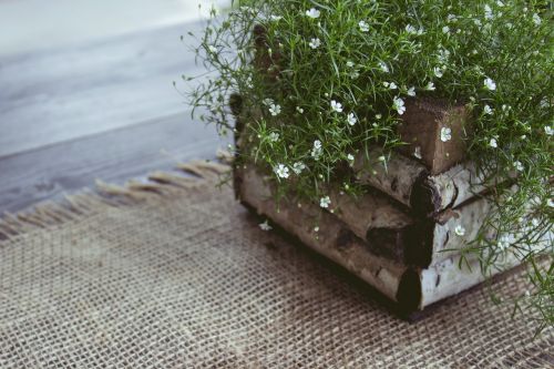 plant decoration table decoration