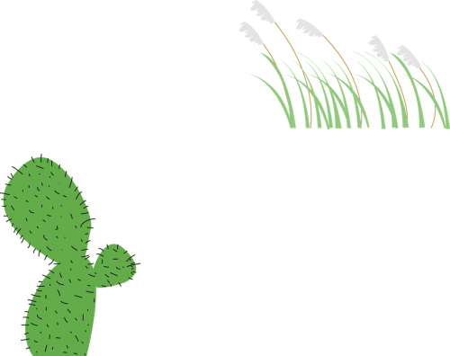 plant cactus reed