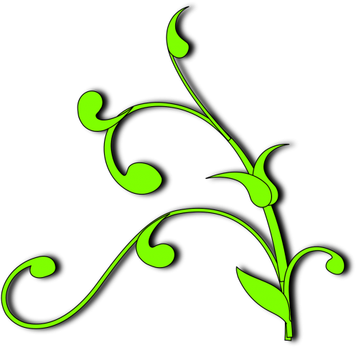 plant vine green