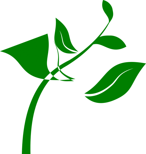 plant design leaves