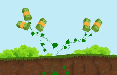 plant  wealth  cash