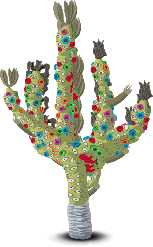 plant cactus colorful
