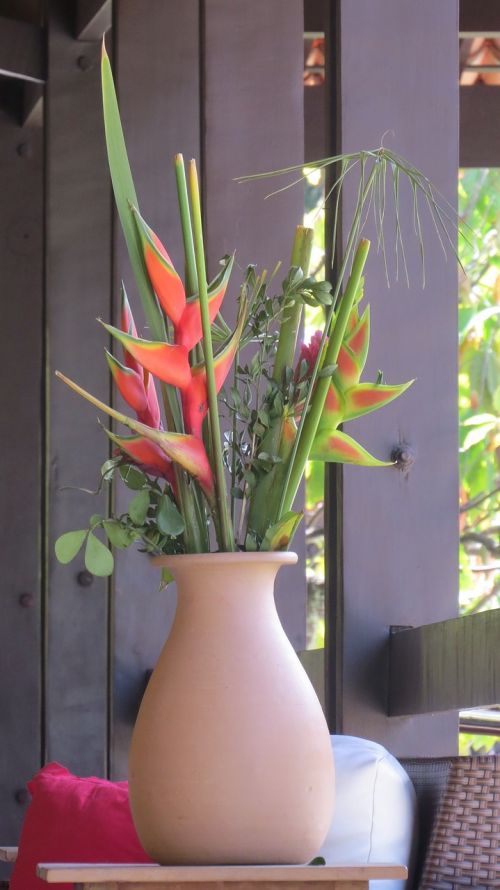plant vase garden