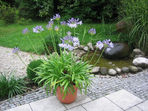 plant fountain arrangement