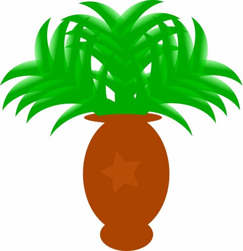 Tropical Plant