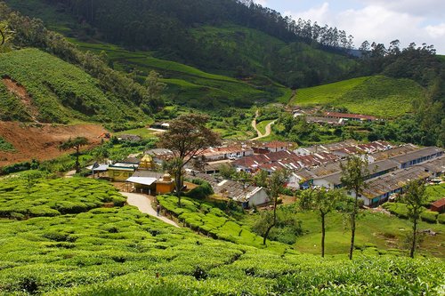 plantation  village  landscape