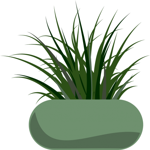 planter grass garden