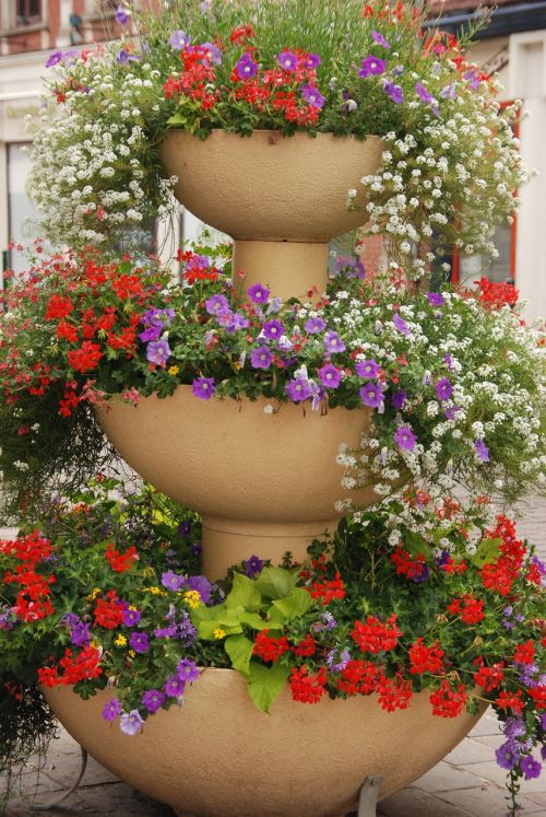 planter flower pot flower