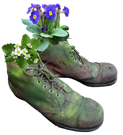 planter flowers old boots