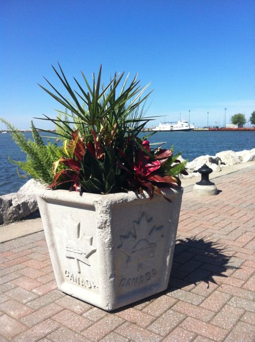 planter flowers canada