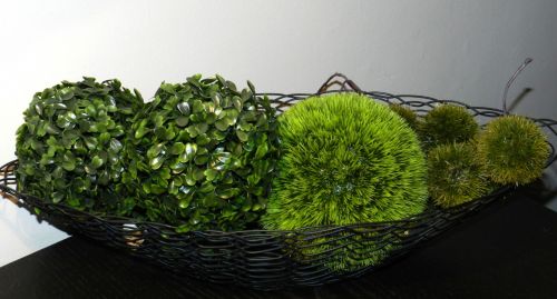 Decorative Green Plants