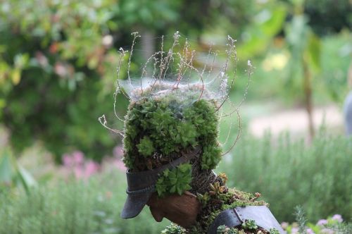 plants sculpture nature