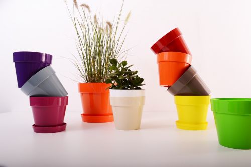 plants flowerpot plastic