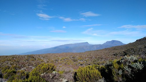 plants  landscape  mountain