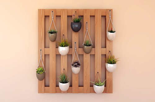 plants  wood  wall