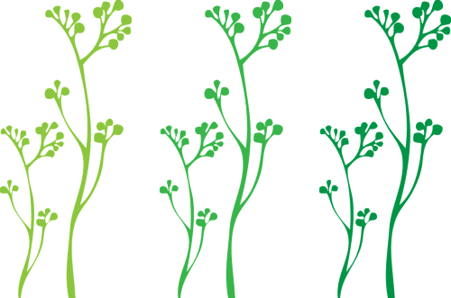plants green stems