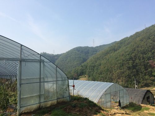 plastic greenhouse country autumn sky