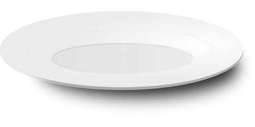 plate porcelain tableware