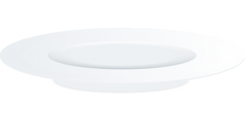 plate dish tableware