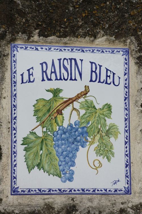 plate grape france