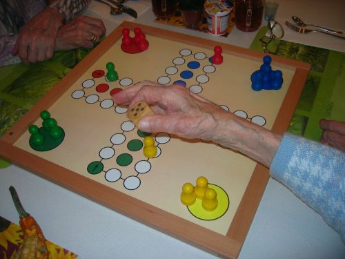 play board game not ludo