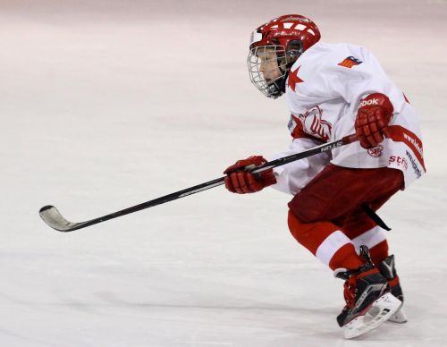 player hockey hockey player