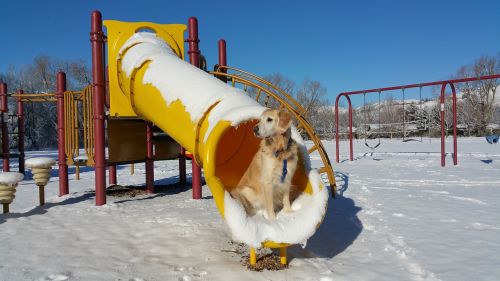 playground winter slide