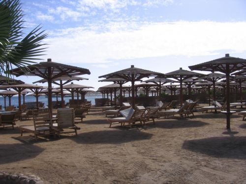 Beach On The Red Sea