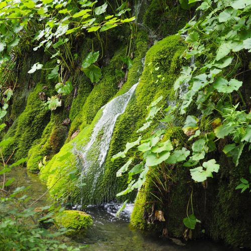 plitvice nature waterfall