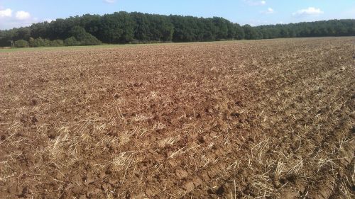 ploughed arable harvest
