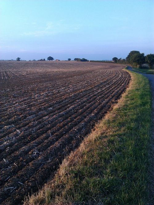 ploughed field norfolk blue sky