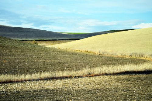 plowed fields agriculture