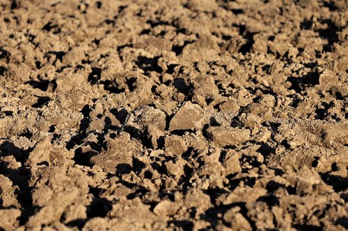 plowed earth  soil  brown