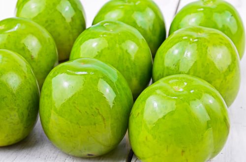plum fruit green