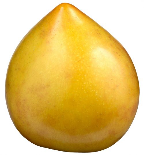 plum fruit yellow plum
