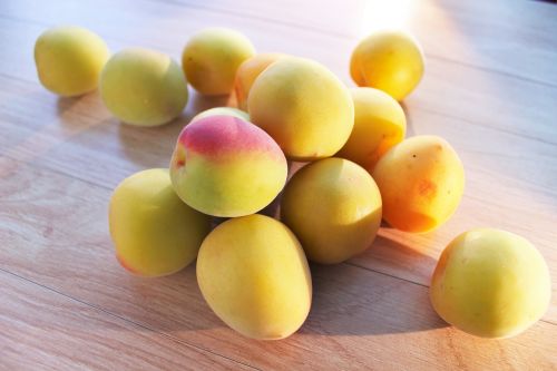 plum fruit june
