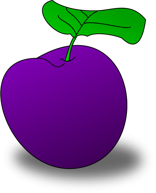 plum food fruit