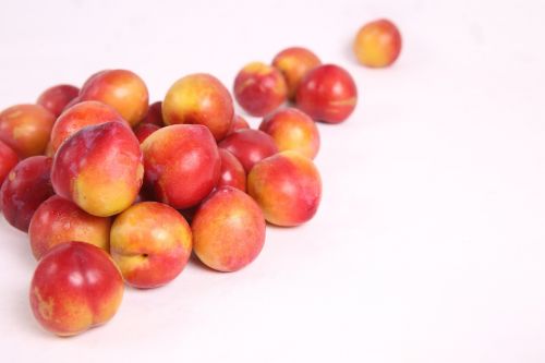 plum fruit summer